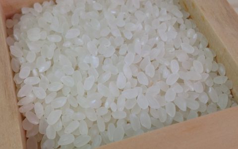 Rice